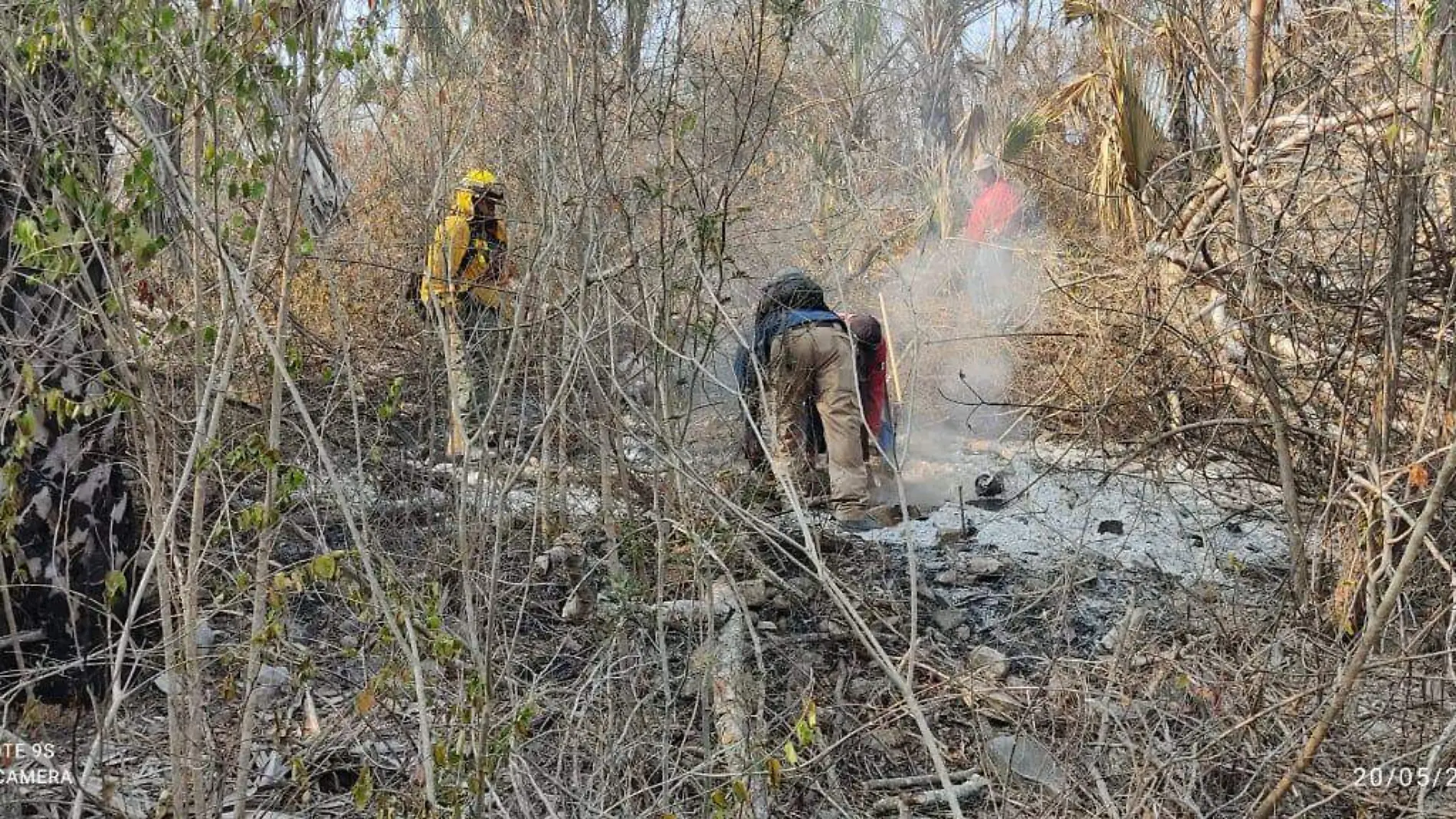 Incendios forestales en Valles y San Ciro